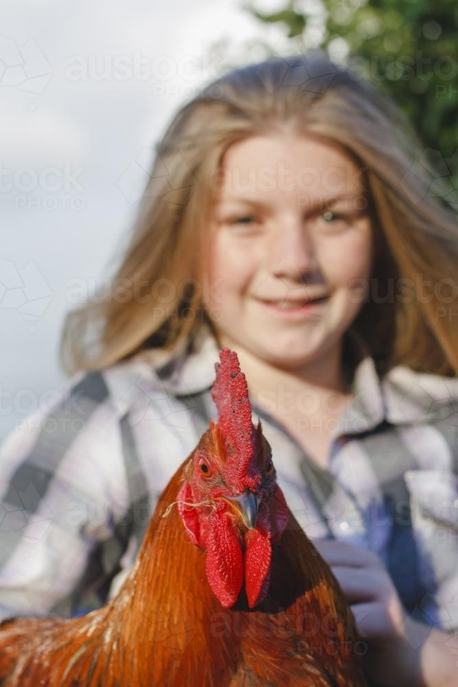 Rooster held by young girl - Australian Stock Image