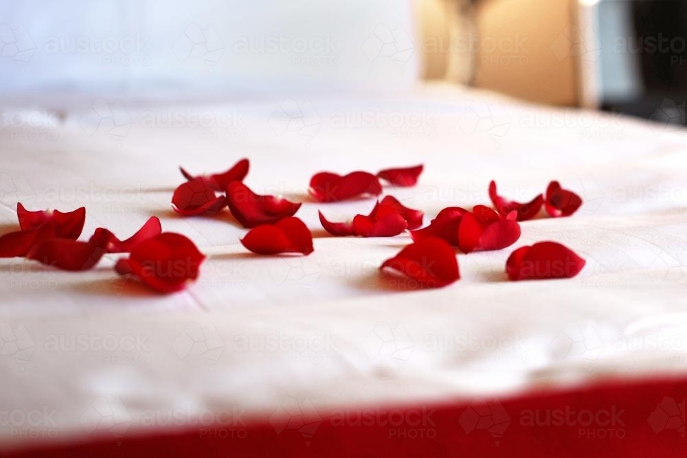 Rose petals on hotel bed - Australian Stock Image