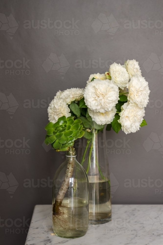 roses and succulent stem in glass jars - Australian Stock Image