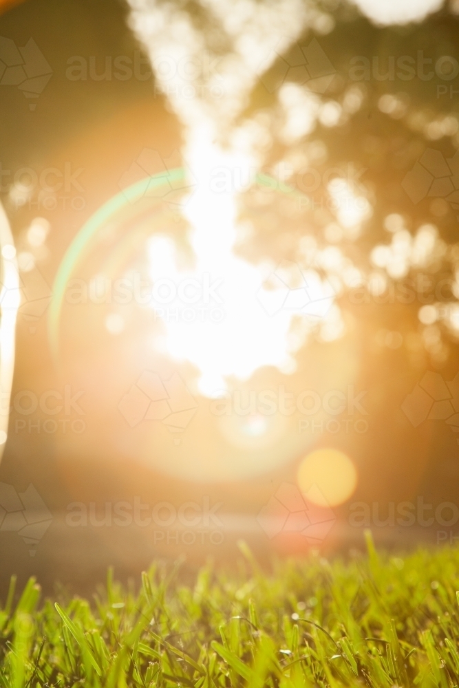 Round sun flare bokeh above green grass - Australian Stock Image