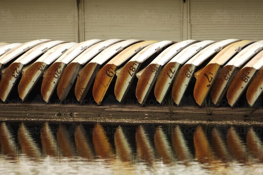 Row Boats lined up - Australian Stock Image