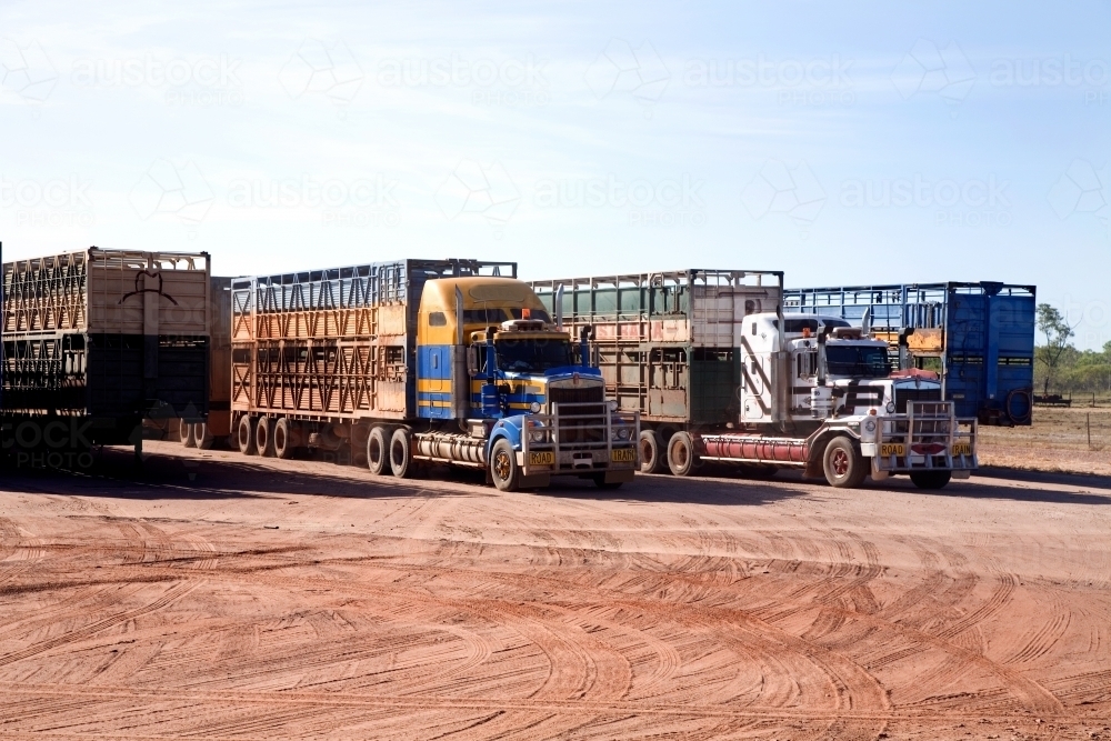 Row of large trucks parked on red dirt - Australian Stock Image