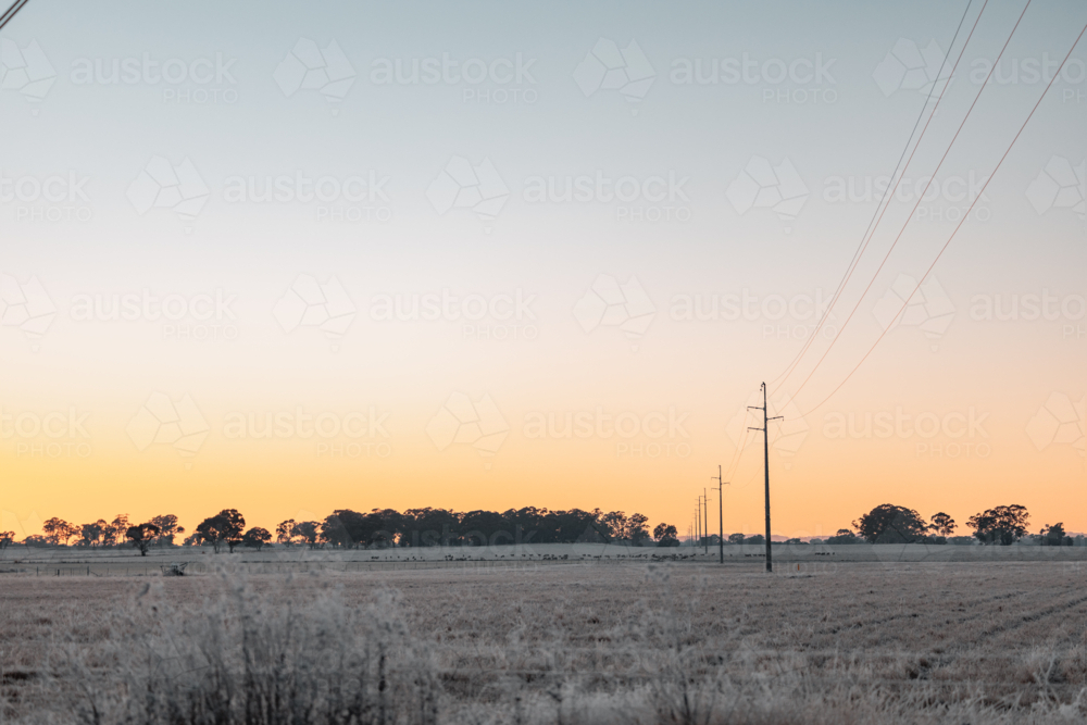 Row of power lines through frozen landscape on cold winter morning - Australian Stock Image