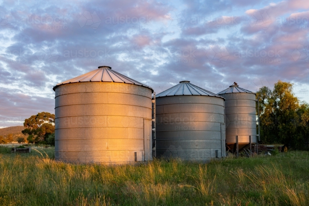 Row of silos on farm at sunset - Australian Stock Image