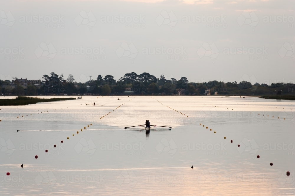 Rowers training on a lake in the evening - Australian Stock Image
