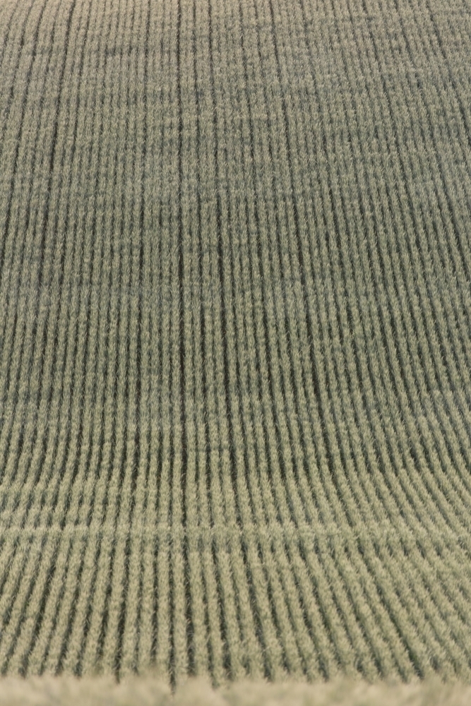 Rows/lines of backlit green heads of wheat in a paddock - Australian Stock Image