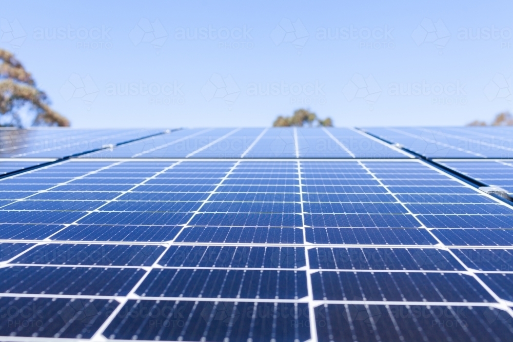 Rows of blue solar panels up to sky on roof of home - Australian Stock Image
