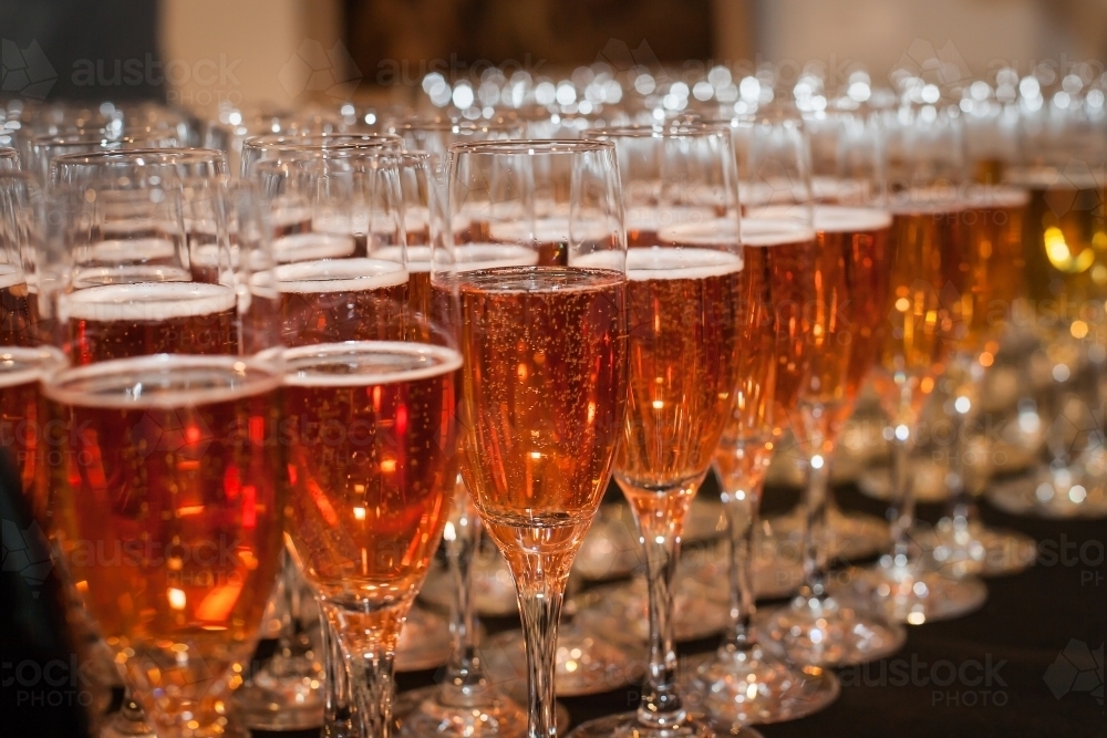 Rows of glasses with sparkling wine - Australian Stock Image