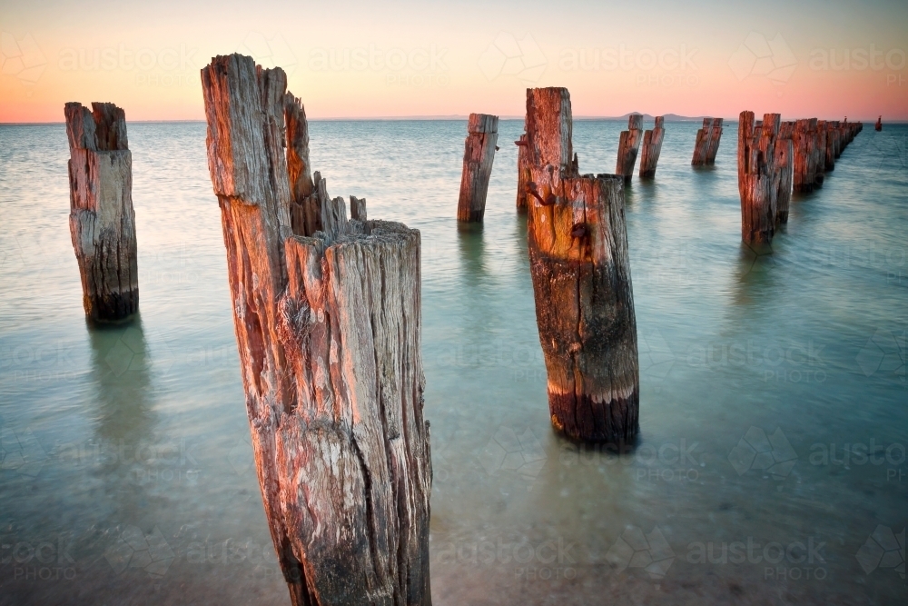 Rows of rustic wooden pillars sticking out of the water - Australian Stock Image