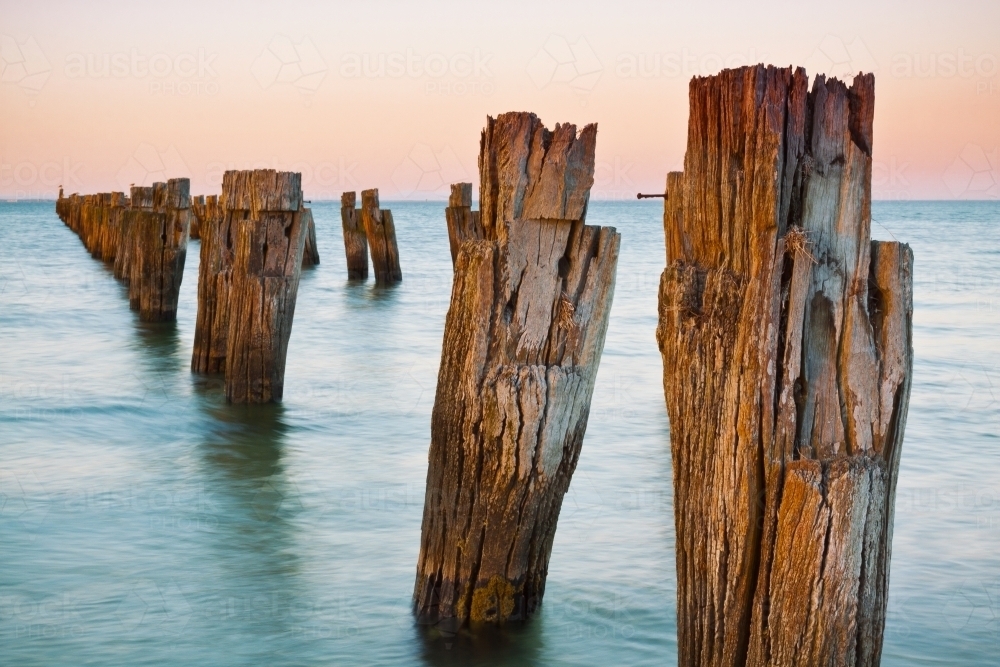 Rows of rustic wooden pillars sticking out of the water - Australian Stock Image