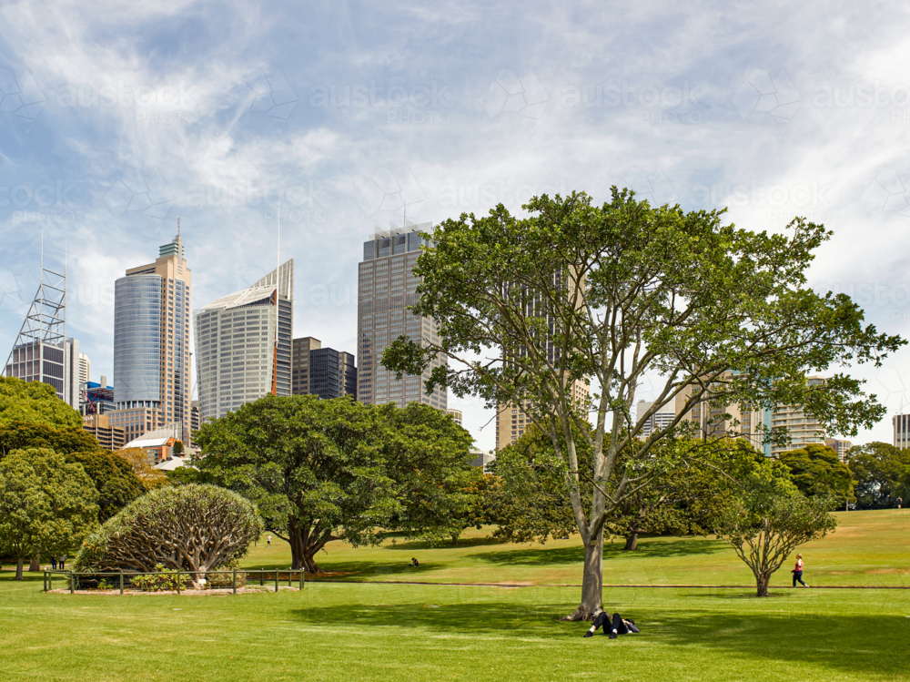 Royal Botanic Gardens of Sydney with buildings in background - Australian Stock Image