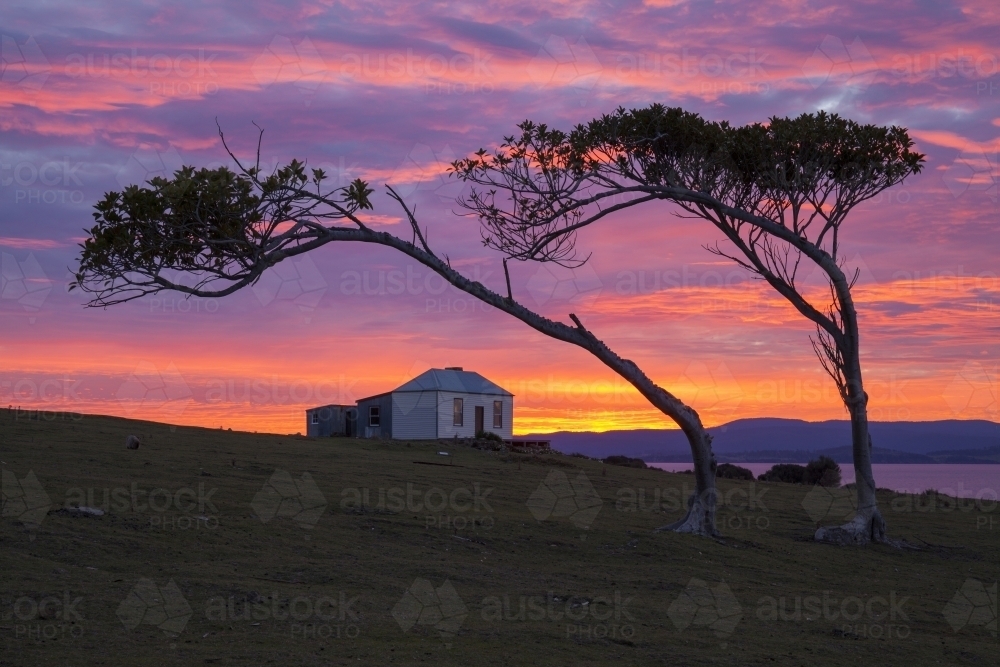 Ruby Hunt's Cottage at sunset - Maria Island National Park - Tasmania - Australia : Austockphoto Ruby Hunt's Cottage at sunset - Maria Island National Park - Tasmania - Australia - Australian Stock Image