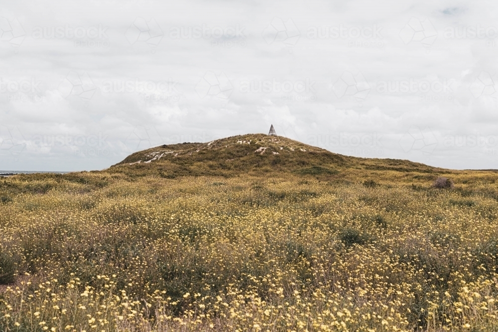 rugged coastal walks through grassy scrubland at port fairy - Australian Stock Image