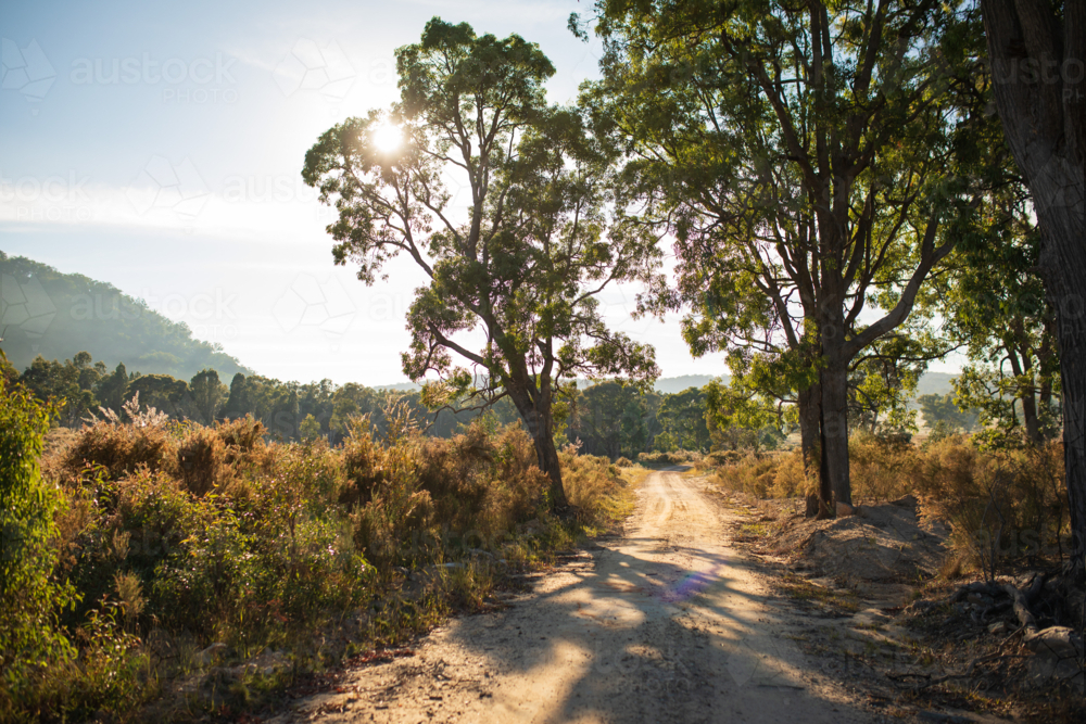 Rugged dirt track in rural Australia with sun rising over the landscape - Australian Stock Image