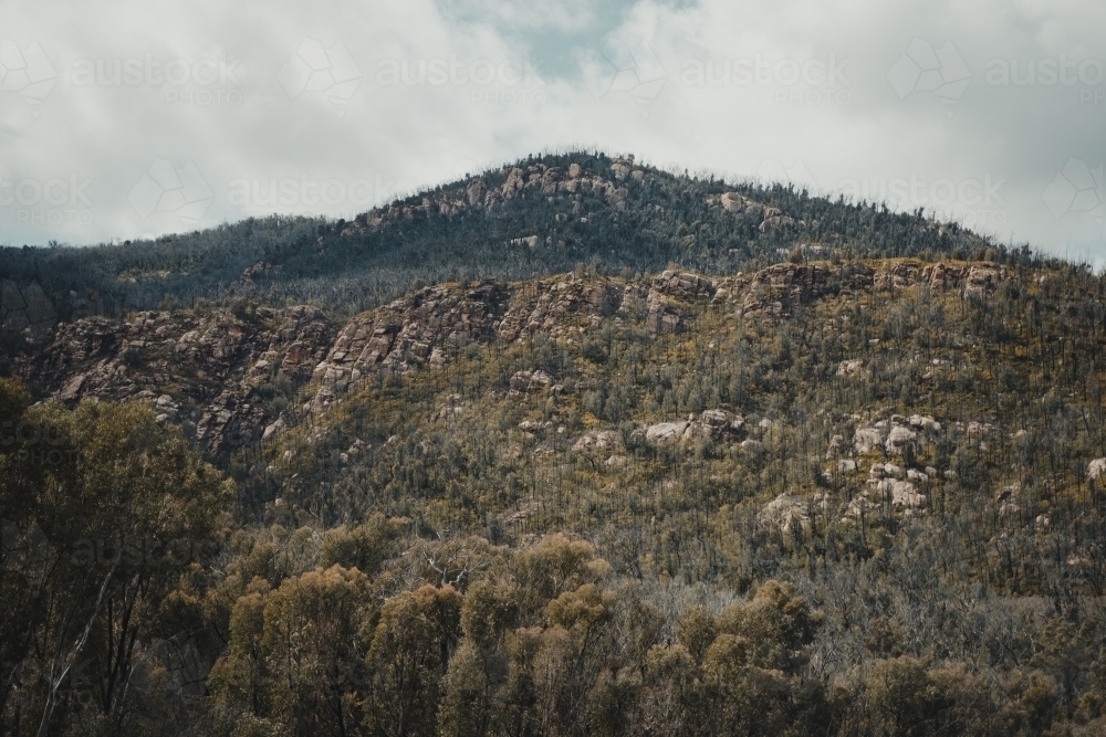 Rugged green countryside at Blowering Reservoir - Australian Stock Image