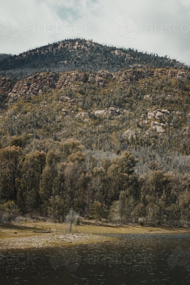 Rugged green countryside at Blowering Reservoir - Australian Stock Image