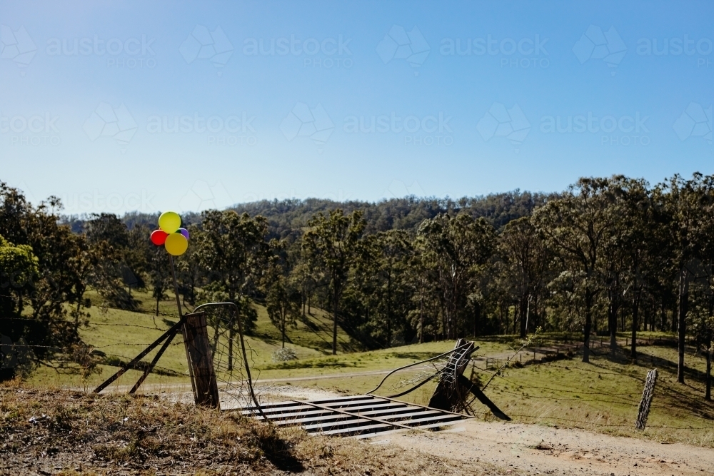 Rural country gateway with cattle grid and balloons tied up for birthday - Australian Stock Image