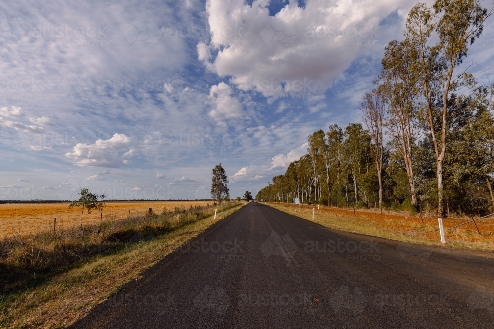 Rural country road on the outskirts of Parkes NSW - Australian Stock Image