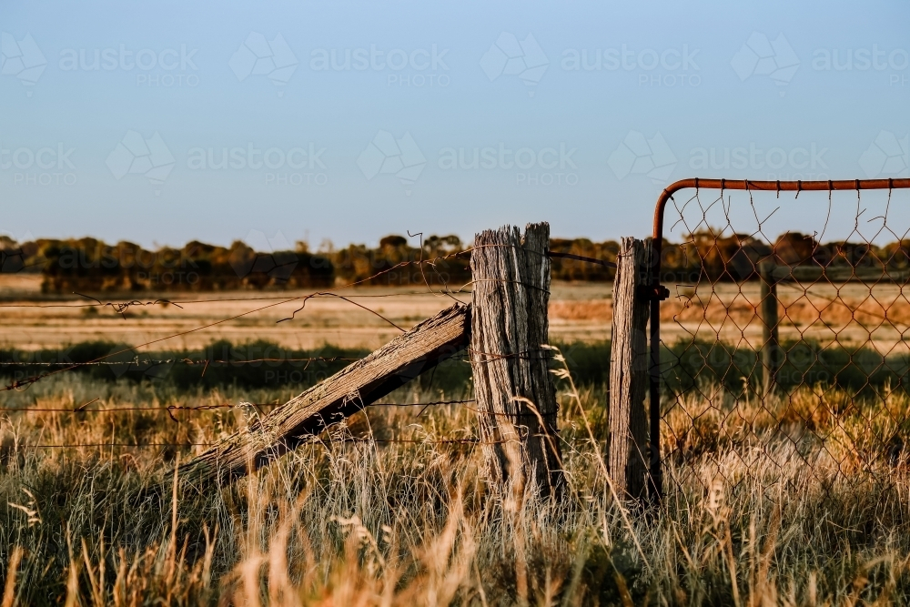 Rural country scene with rusty farm gate leading to dry paddock - Australian Stock Image