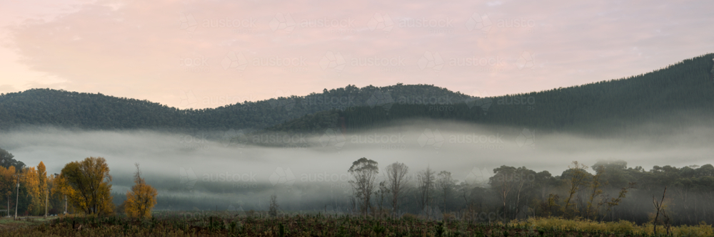 Rural country Victoria shrouded in morning fog - Australian Stock Image