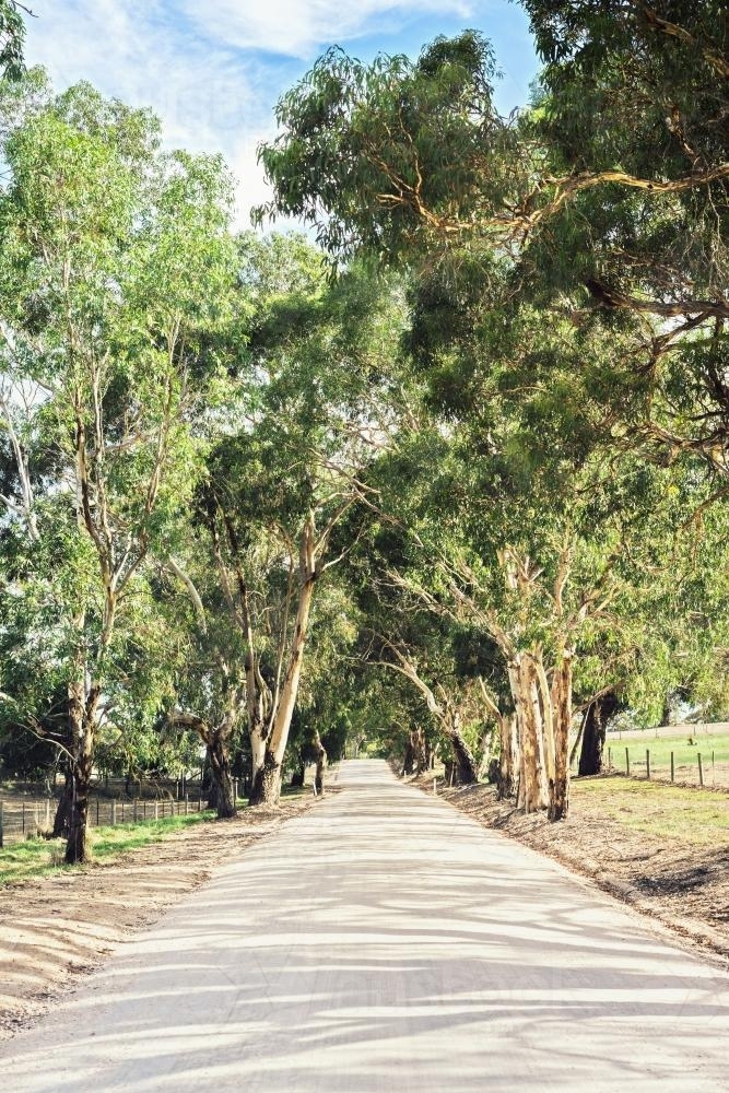 Image of rural dirt road, Adelaide Hills Austockphoto
