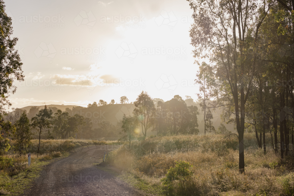 Rural dirt road bathed in golden afternoon light at sunset - Australian Stock Image