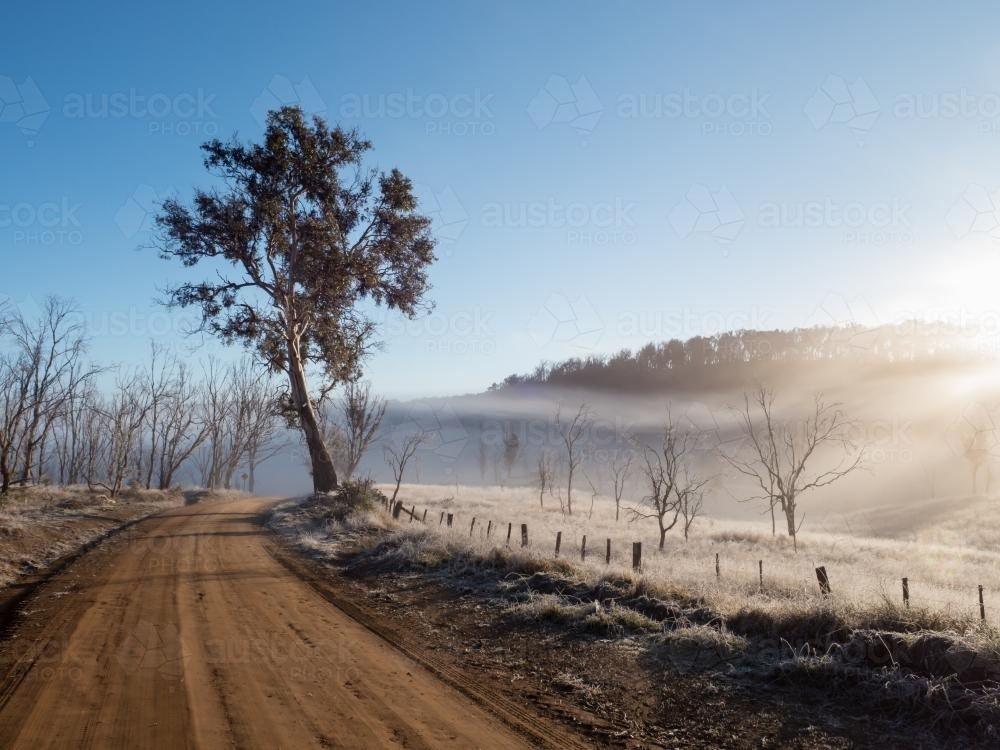 Rural dirt road with tree and early morning mist - Australian Stock Image