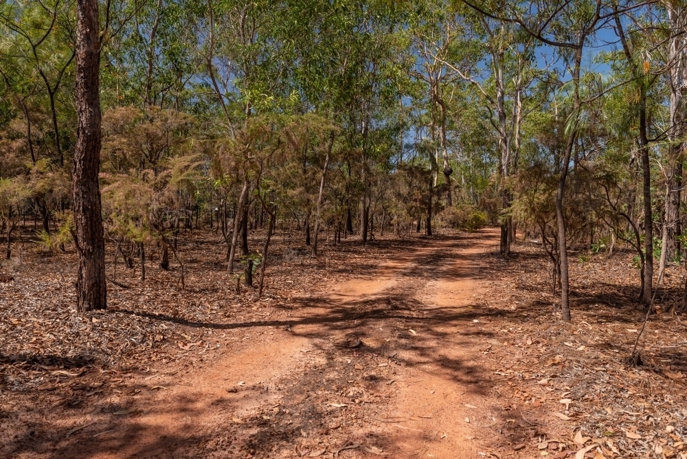 Rural driveway - Australian Stock Image