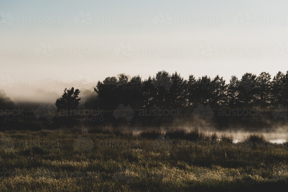 Rural early morning mist at sunrise - Australian Stock Image