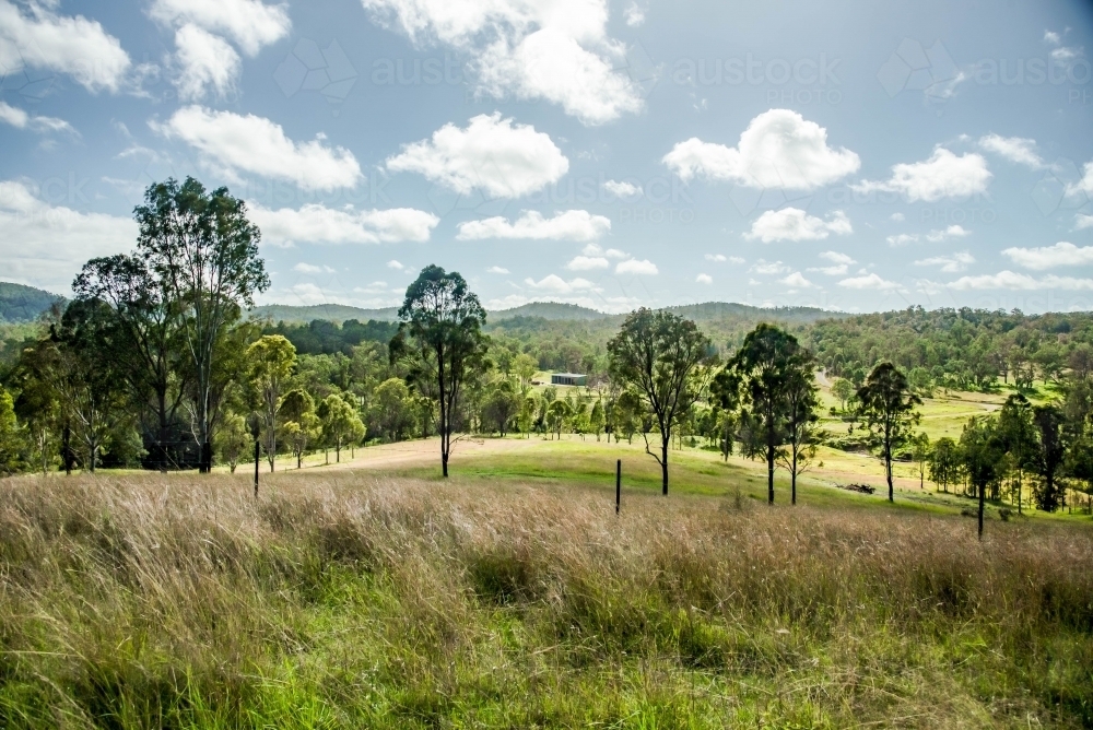 rural farm land with a shed in the background - Australian Stock Image