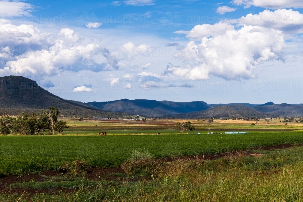 Rural farming scene with crops and mountain ranges - Australian Stock Image