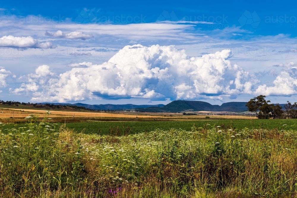 Rural farming scene with crops, mountain ranges and spectacular cloud formations - Australian Stock Image