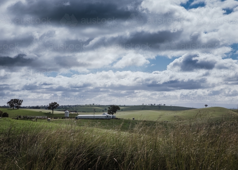 Rural farmland landscape with horizon under cloudy sky - Australian Stock Image