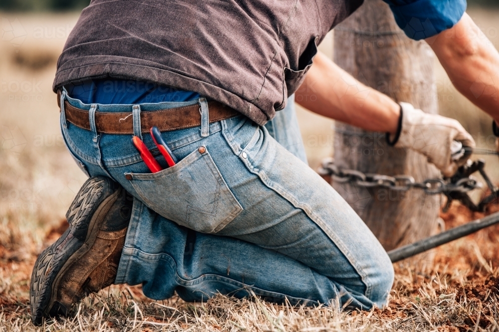 Rural fencing straining wire to a post with pliers in jeans pocket - Australian Stock Image