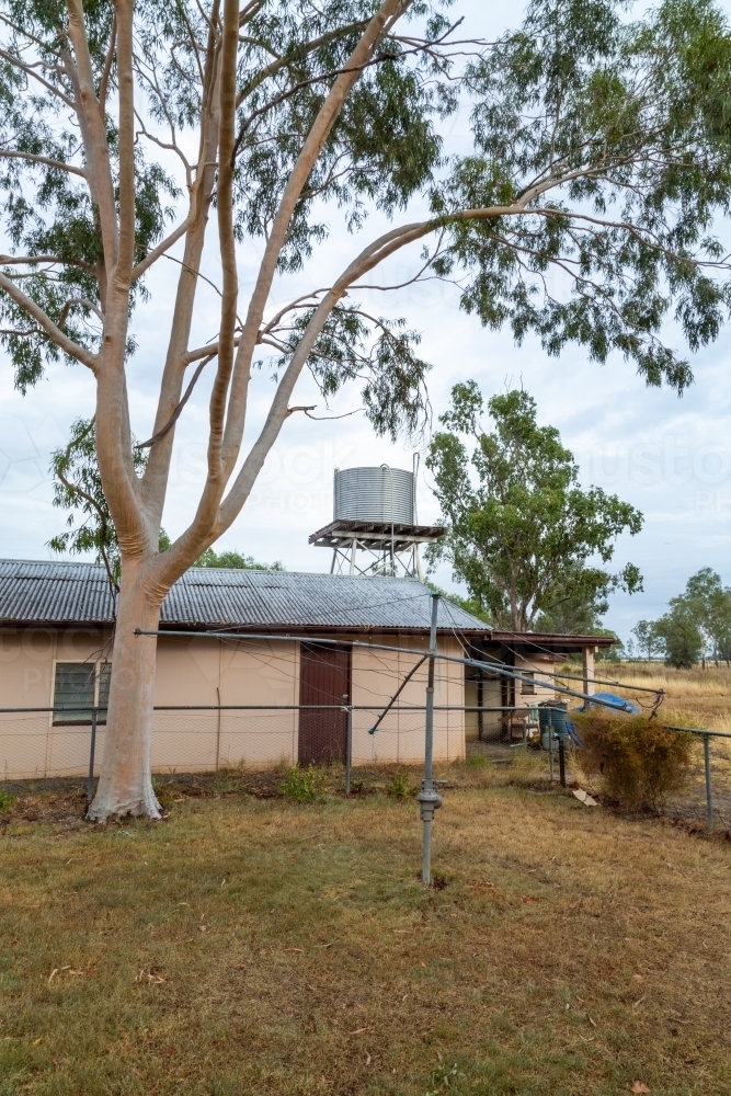 Image of Rural homestead scene, with rain tank, gumtree, clothesline