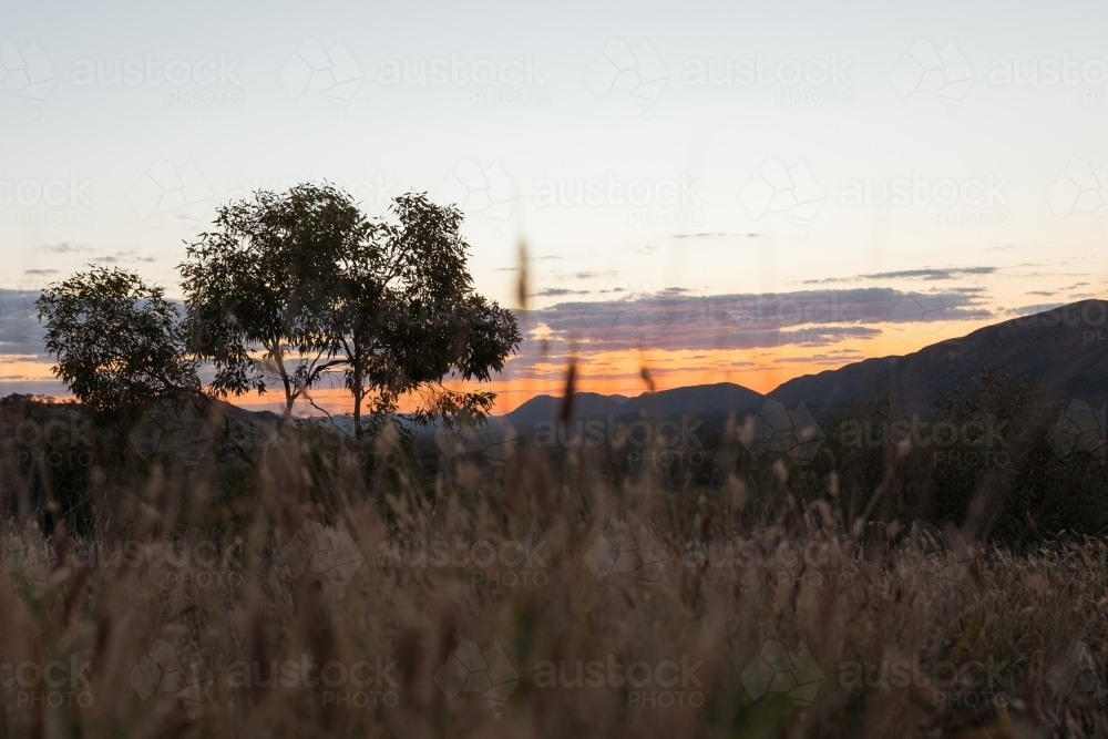 Rural landscape at dusk - Australian Stock Image