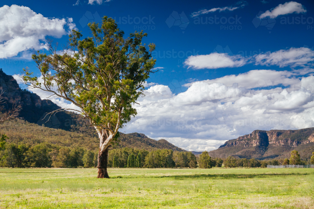 Rural landscape in the Hunter Valley near Muswellbrook in New South Wales, Australia - Australian Stock Image