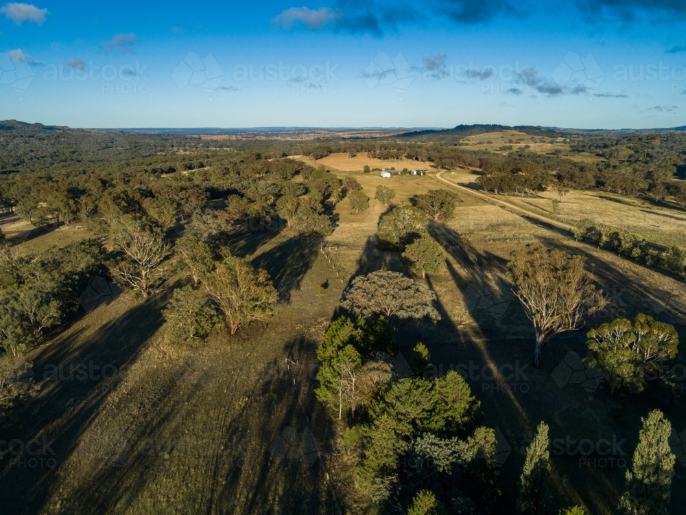 rural landscape of farmland shaded by eucalyptus trees in Spring Mountain NSW - Australian Stock Image