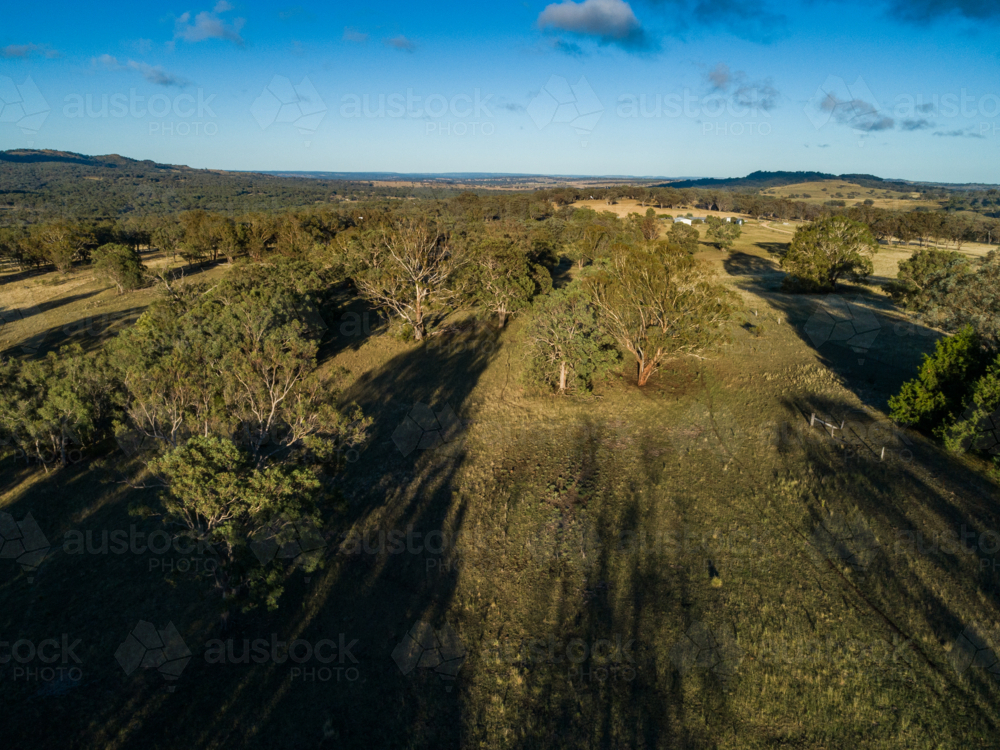 rural landscape of farmland shaded by eucalyptus trees in Spring Mountain NSW - Australian Stock Image
