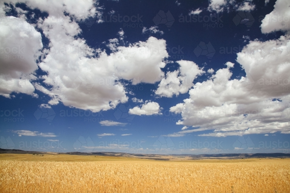 Rural landscape with clouds - Australian Stock Image