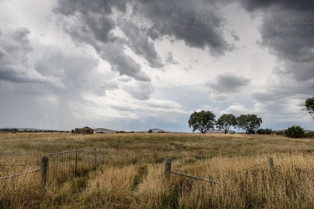 Rural landscape with gate - Australian Stock Image