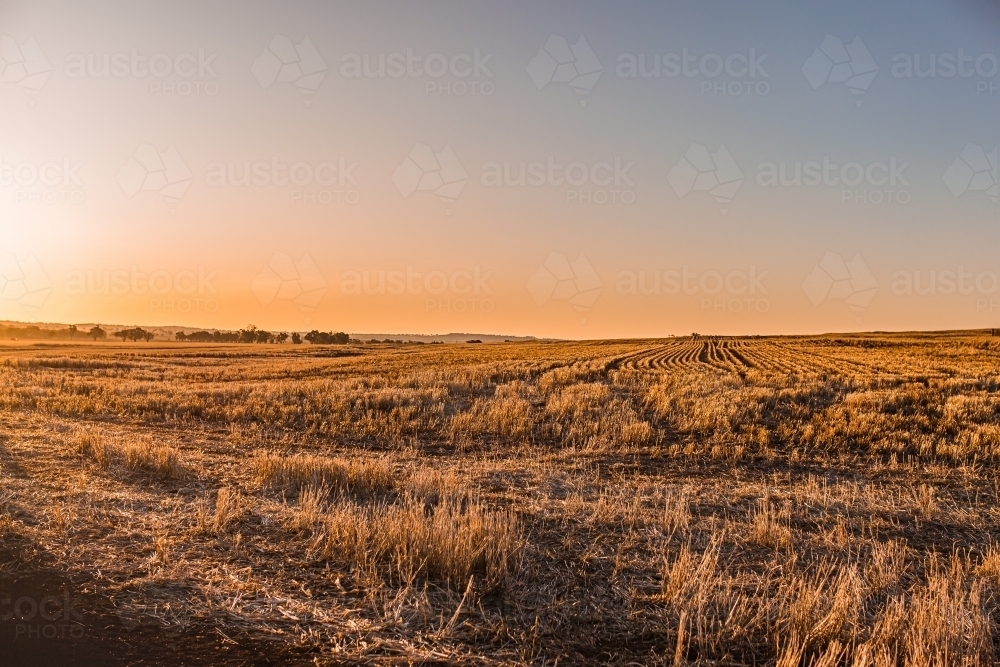 Rural landscape with horizon in late afternoon - Australian Stock Image