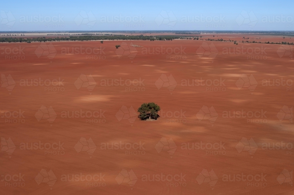 Rural Outback Aerial Landscape With One Tree - Australian Stock Image
