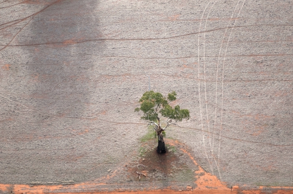Rural Outback Aerial Landscape with Single Tree - Australian Stock Image