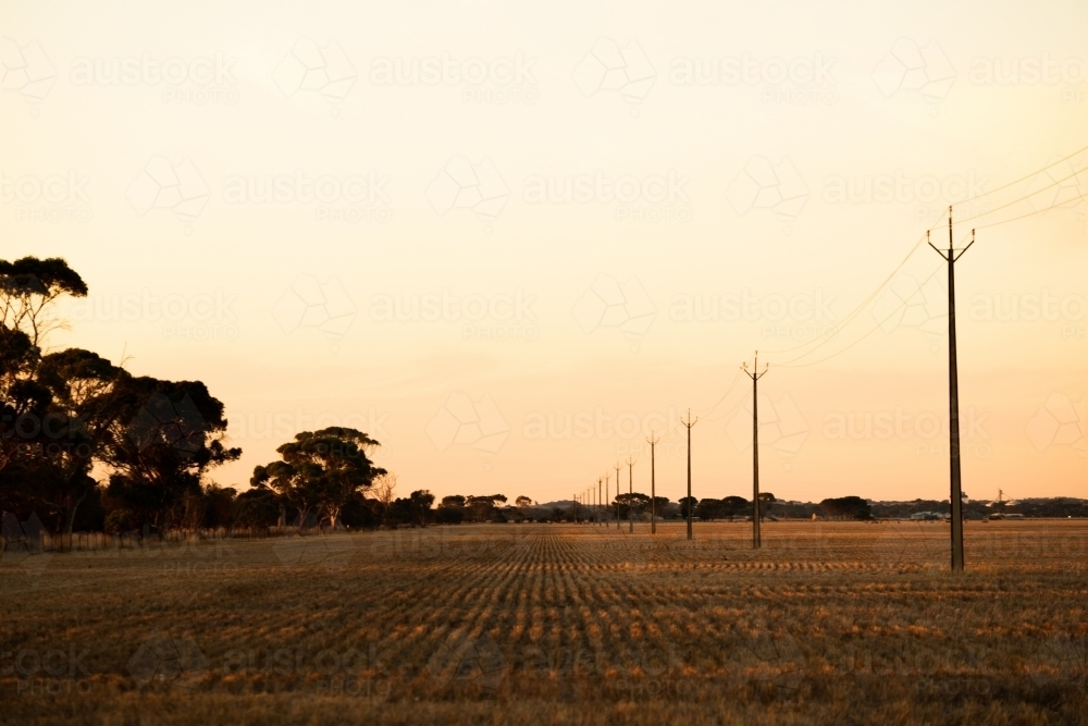 Rural Power Lines - Australian Stock Image