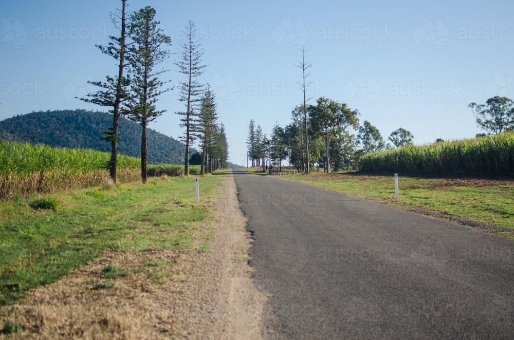 Rural Queensland road near sugar cane farm - Australian Stock Image