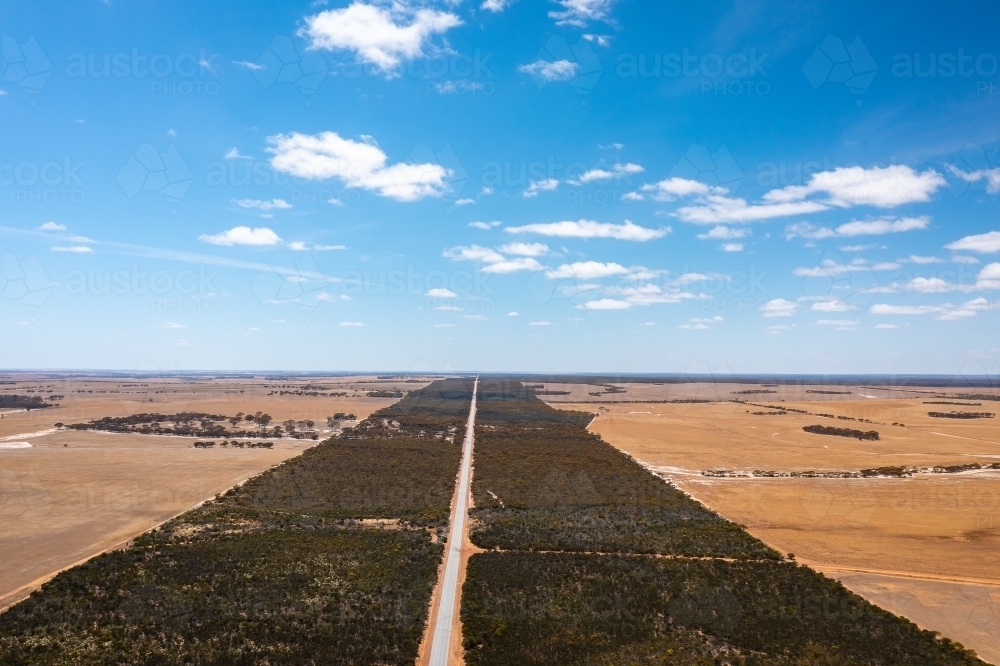 rural road stretching straight towards horizon with wide bush verges - Australian Stock Image