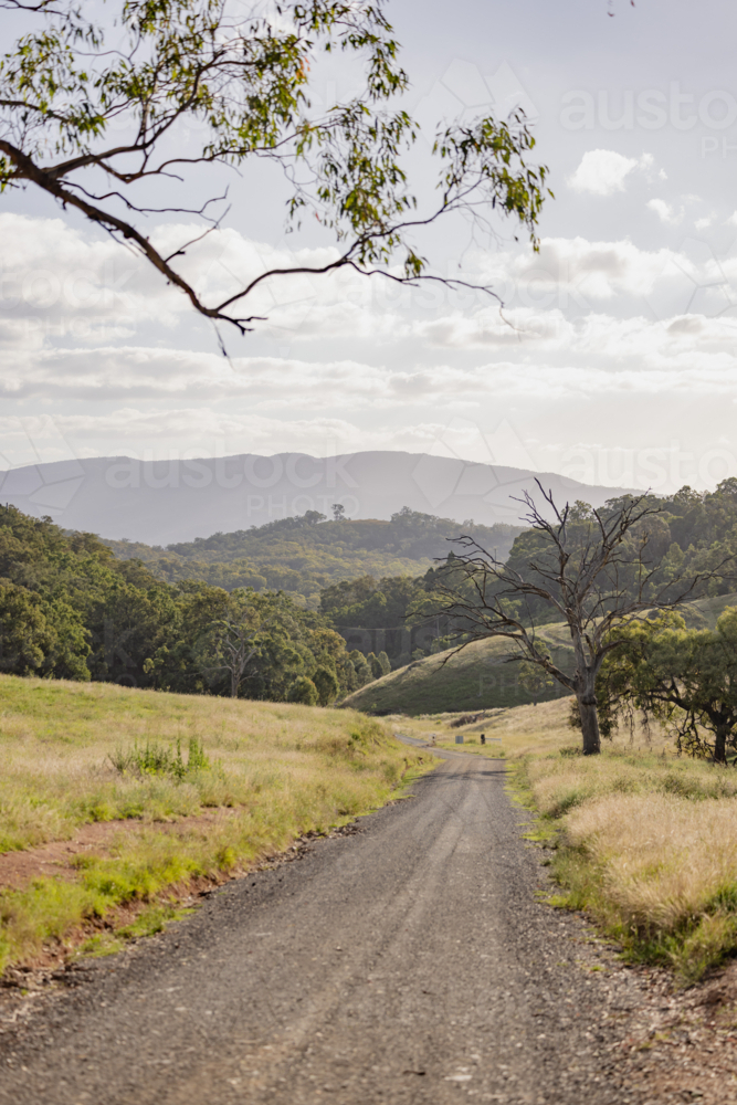 Rural road through green fields under cloudy sky with rolling hills - Australian Stock Image