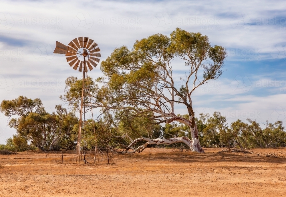 Rural scene with windmill, eucalyptus tree and red dirt in Western Australia - Australian Stock Image