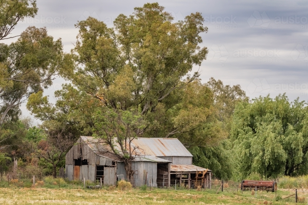 Rural setting with rustic old farm shed & equipment with tall trees surrounding - Australian Stock Image